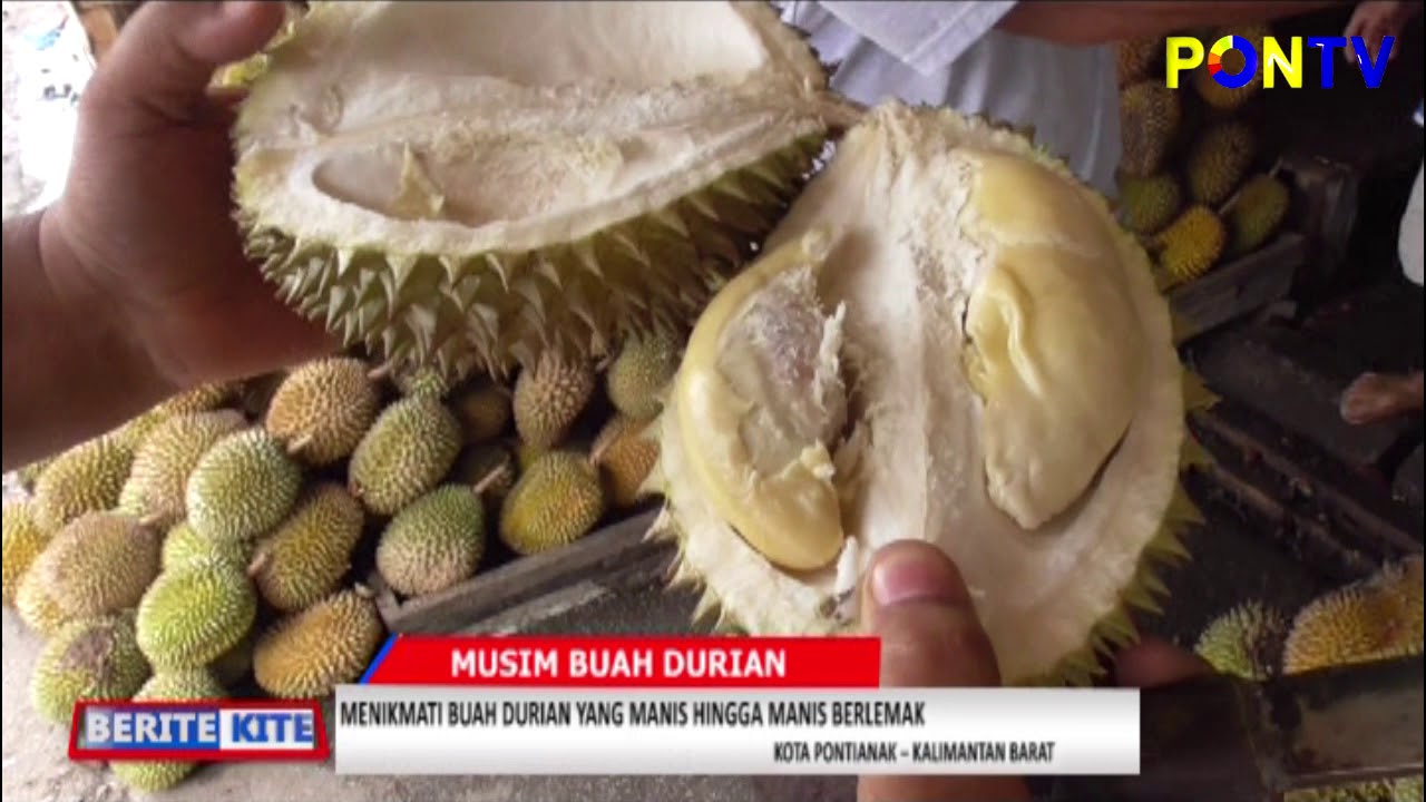 durian pontianak