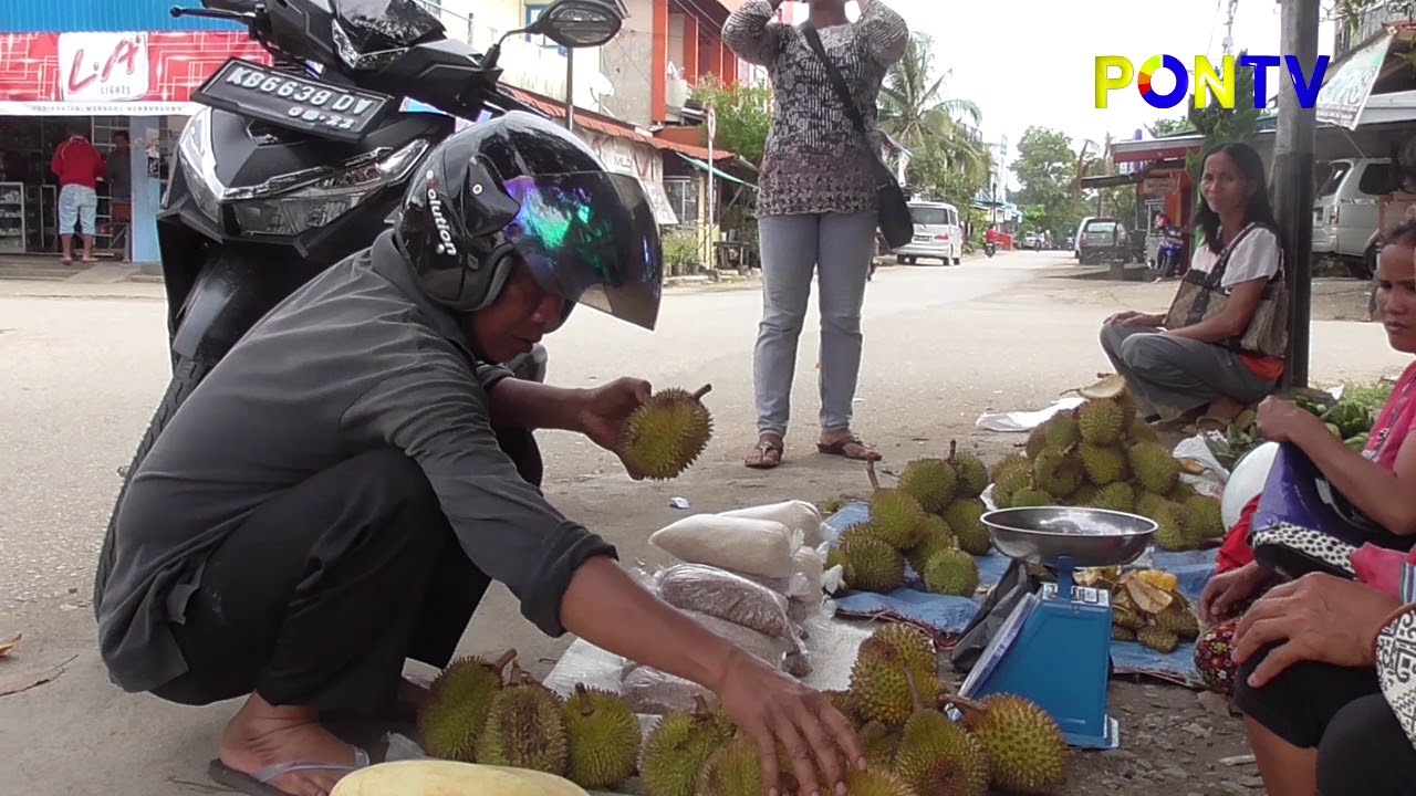 pekawai sanggau