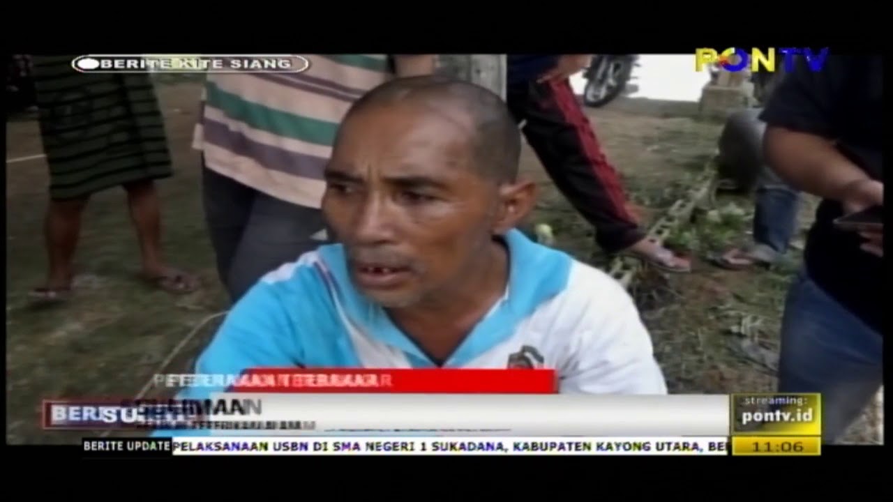 peternakan terbakar