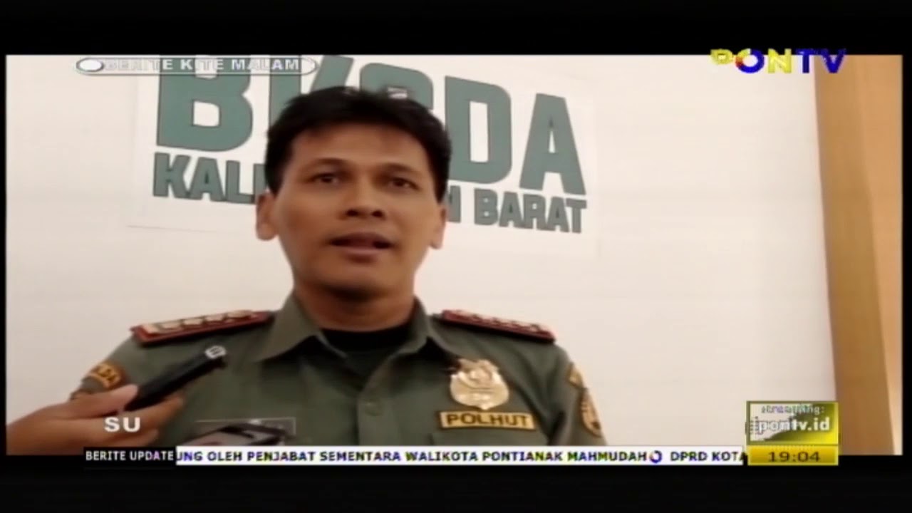 penyu mati di sambas