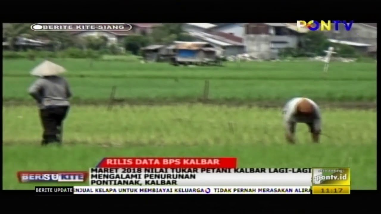 petani kalbar
