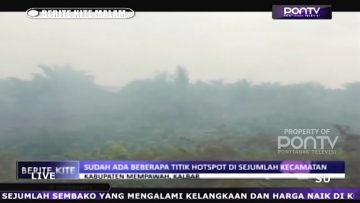 [ID: aXNw31Jh42A] Youtube Automatic