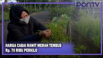 [ID: NNu2fCNH0Mc] Youtube Automatic