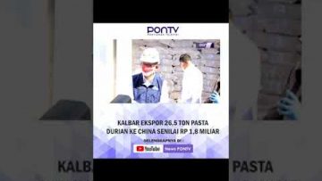 [ID: T9R3pluEljE] Youtube Automatic