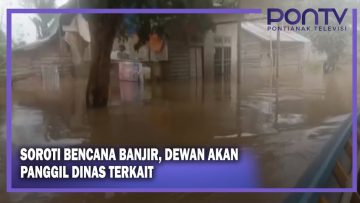 [ID: UWIjQYT65lg] Youtube Automatic