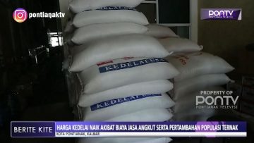 [ID: VnJmMjD3Qgw] Youtube Automatic