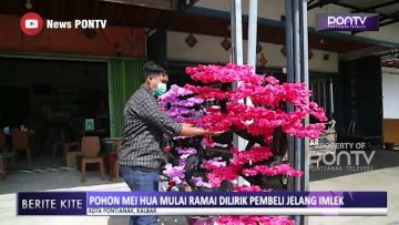 [ID: YCE6oUgPR2Q] Youtube Automatic