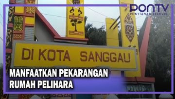[ID: YD1IDrAiPaU] Youtube Automatic