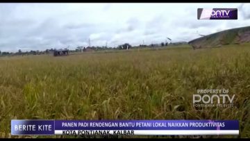 [ID: zYoDAxqi0Z8] Youtube Automatic