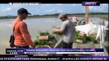 [ID: 2ztf316FaXc] Youtube Automatic