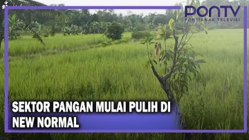 [ID: 3aa_bJuauvQ] Youtube Automatic