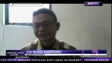 [ID: 5vNfPSZhqHA] Youtube Automatic