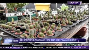 [ID: aVojtMv7oxw] Youtube Automatic