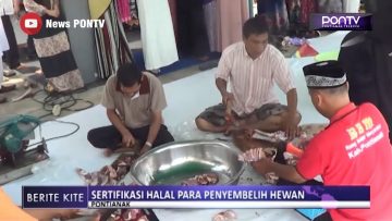 [ID: B8s9IzNoRgI] Youtube Automatic