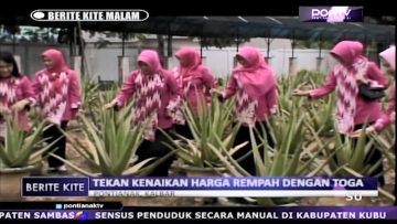 [ID: bGtYX-dg0eg] Youtube Automatic