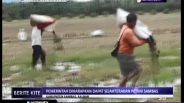 [ID: CbPLFrOyF9U] Youtube Automatic