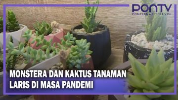 [ID: D1auURGA3FA] Youtube Automatic