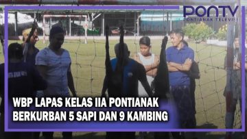 [ID: ftYZ-Z7Is1k] Youtube Automatic