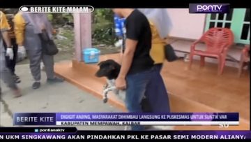 [ID: G6eQemCq7a4] Youtube Automatic