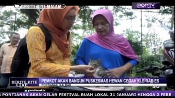 [ID: gD4RwU4wf50] Youtube Automatic