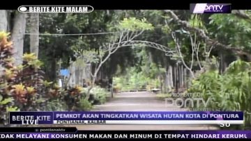 [ID: H2XMPUK–eA] Youtube Automatic