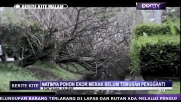 [ID: Lx5DLUAep8c] Youtube Automatic