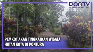 [ID: msTuiP7H5N0] Youtube Automatic