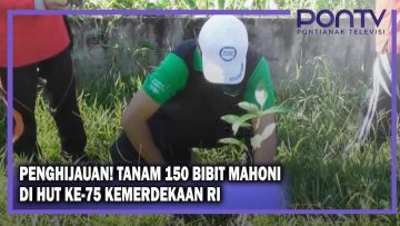 [ID: Mxt4Z3NLWqs] Youtube Automatic