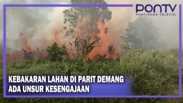 [ID: nsXQuafyzi0] Youtube Automatic