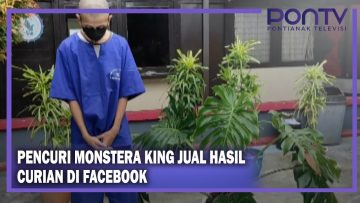 [ID: O902k6xrCUo] Youtube Automatic