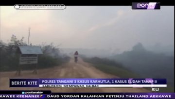[ID: pAFi4uQbE4k] Youtube Automatic