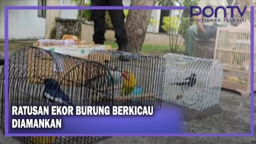 [ID: qb7wCS58bvQ] Youtube Automatic