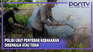 [ID: qcNkGYZBeng] Youtube Automatic