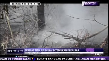 [ID: QEKc9M62x8s] Youtube Automatic