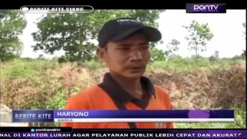 [ID: QGowPHGFBhQ] Youtube Automatic