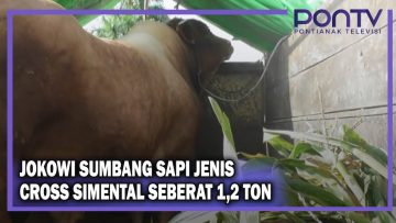 [ID: QrA9sOXY_vE] Youtube Automatic