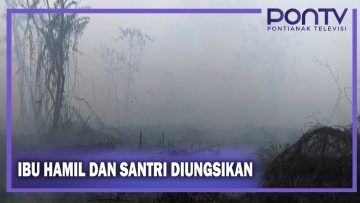 [ID: rmE8mHwR-68] Youtube Automatic