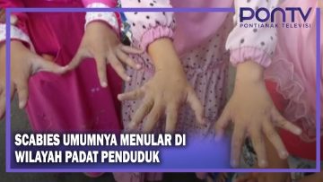 [ID: ta5PpBjjZ24] Youtube Automatic