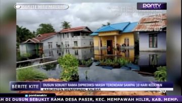 [ID: u1r1M33D62g] Youtube Automatic