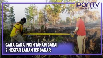 [ID: UPU53V_q4ig] Youtube Automatic