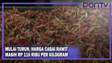 [ID: UrruozogVjw] Youtube Automatic