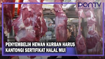 [ID: v4V2alj7jrE] Youtube Automatic