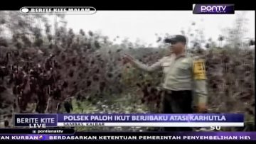 [ID: wc8NRi03vmQ] Youtube Automatic