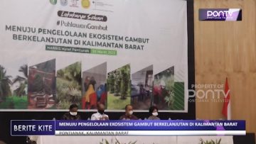 [ID: XbDnUa8UKW0] Youtube Automatic