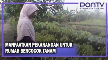 [ID: zCorSELjFKs] Youtube Automatic