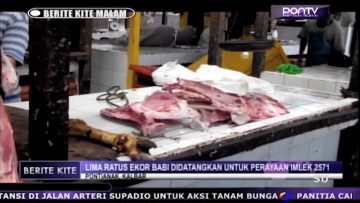 [ID: fb_geic88tE] Youtube Automatic