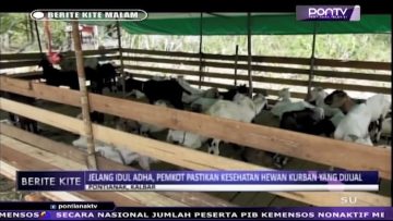 [ID: IuWanHH_bXk] Youtube Automatic