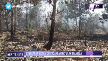 [ID: LyPpR8uVbik] Youtube Automatic