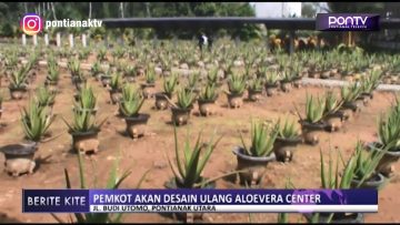 [ID: M8DTzJS_B-0] Youtube Automatic