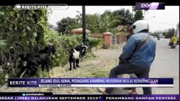 [ID: mLkNhWFsBug] Youtube Automatic